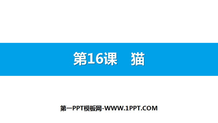 《猫》PPT精品课件