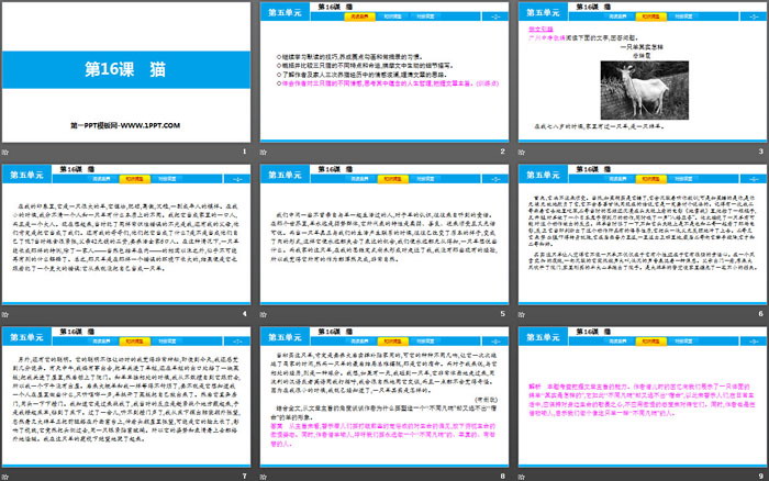 《猫》PPT精品课件
