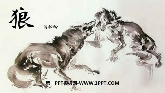 《狼》PPT免费课件