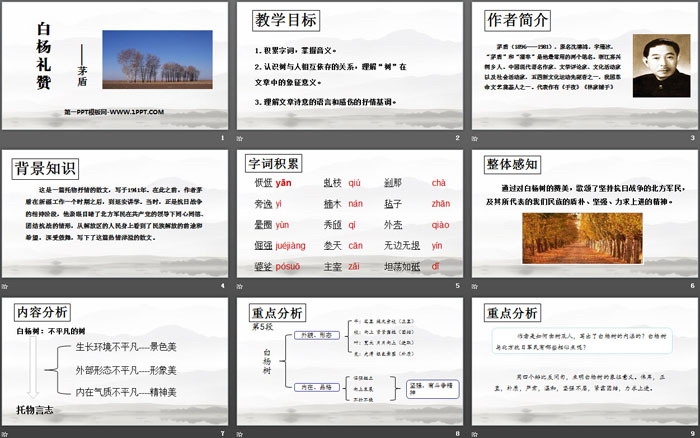 《白杨礼赞》PPT优秀课件下载