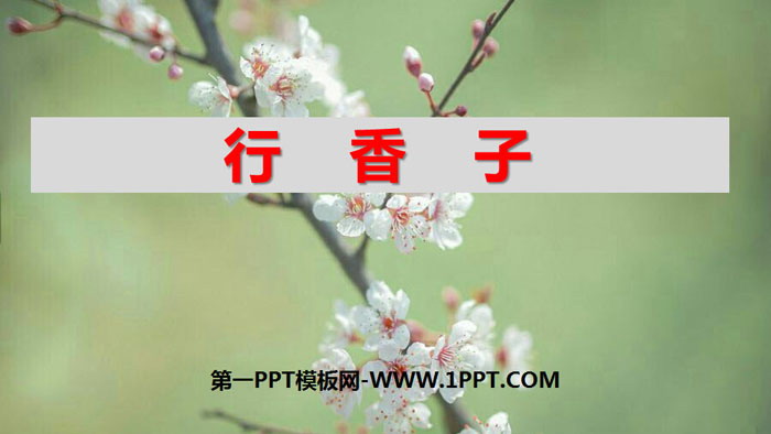 《行香子》课外古诗词诵读PPT课件