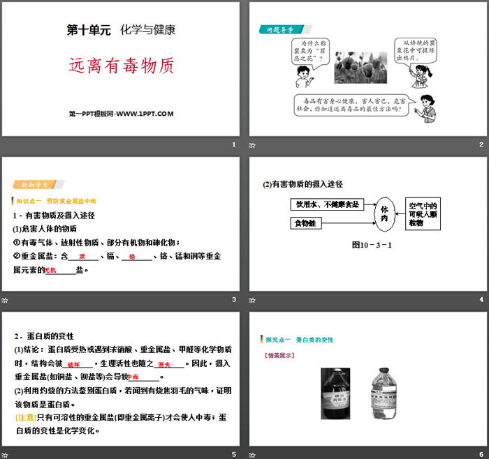 《远离有毒物质》化学与健康PPT教学课件