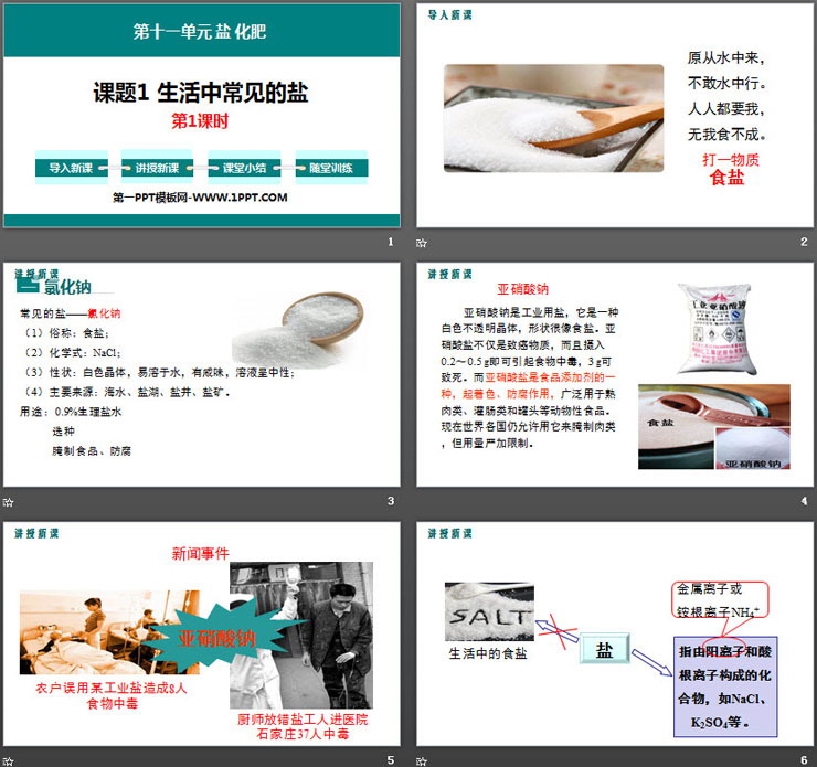 《生活中常见的盐》盐化肥PPT