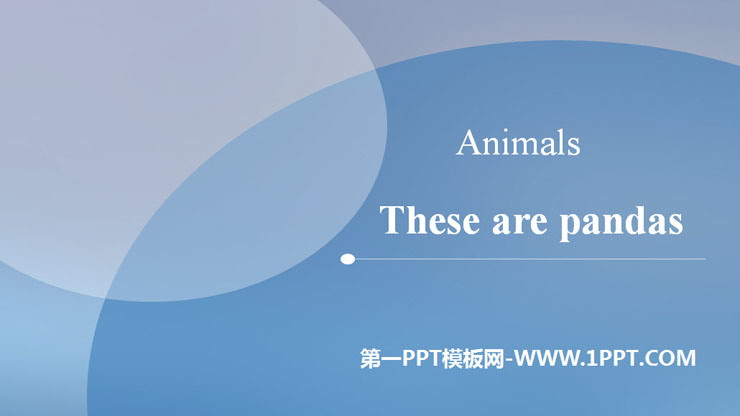 《These are pandas》Animals PPT