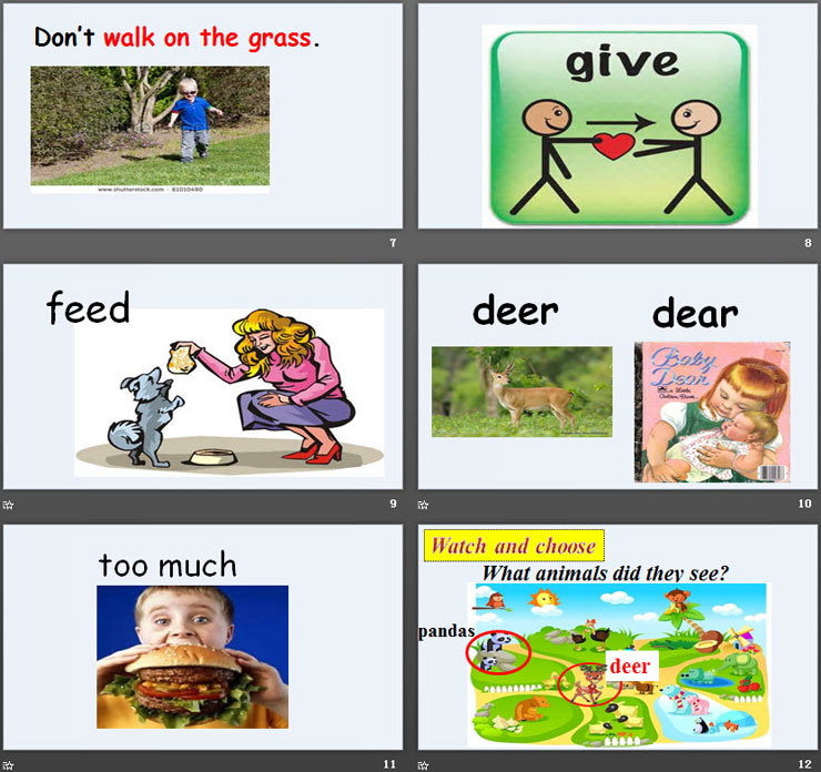 《They are in the zoo》Good Behaviour PPT课件