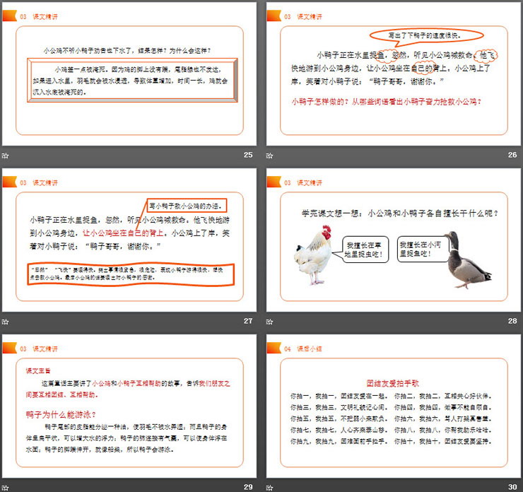 《小公鸡和小鸭子》PPT课件免费下载