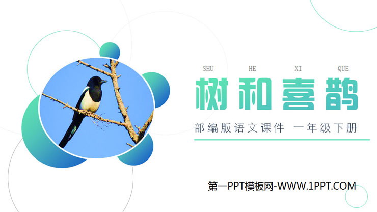 《树和喜鹊》PPT课件免费下载