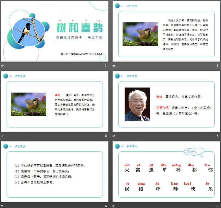 《树和喜鹊》PPT课件免费下载