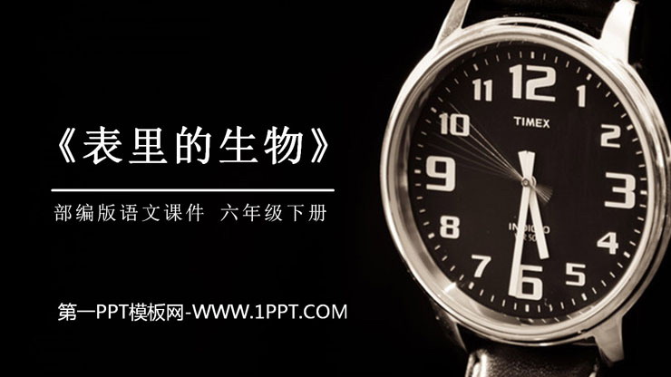 《表里的生物》PPT课件下载