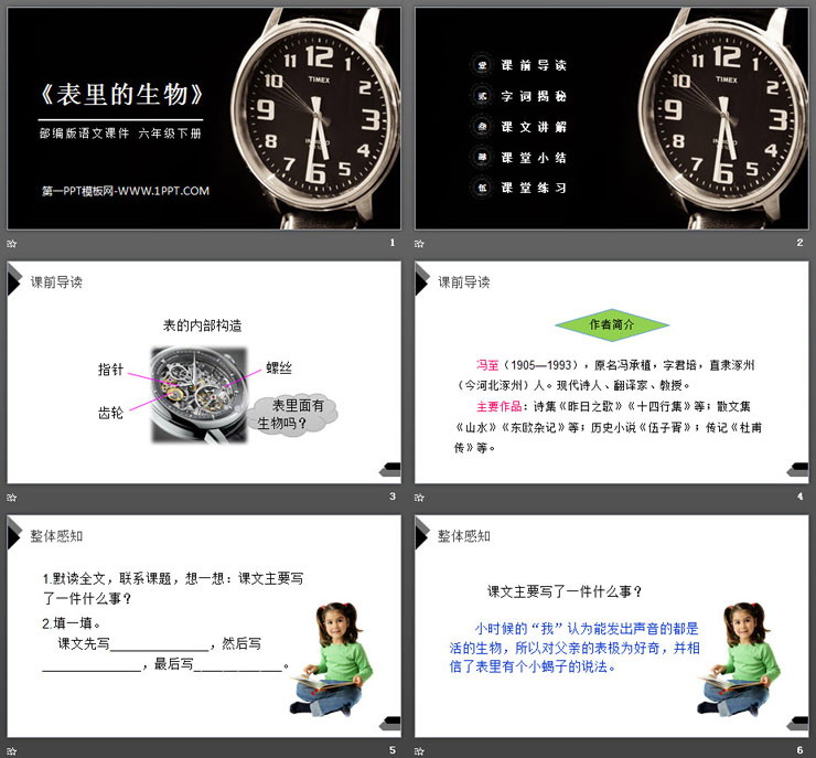 《表里的生物》PPT课件下载