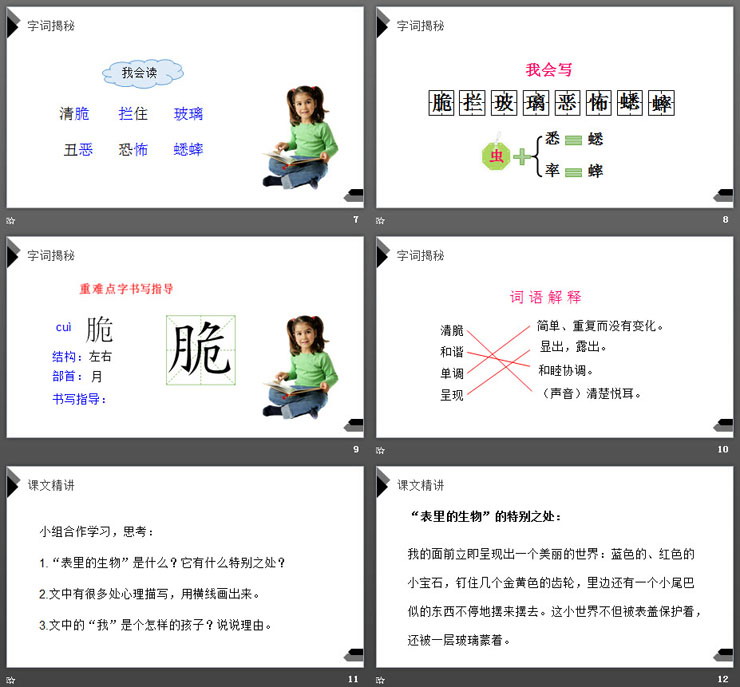 《表里的生物》PPT课件下载