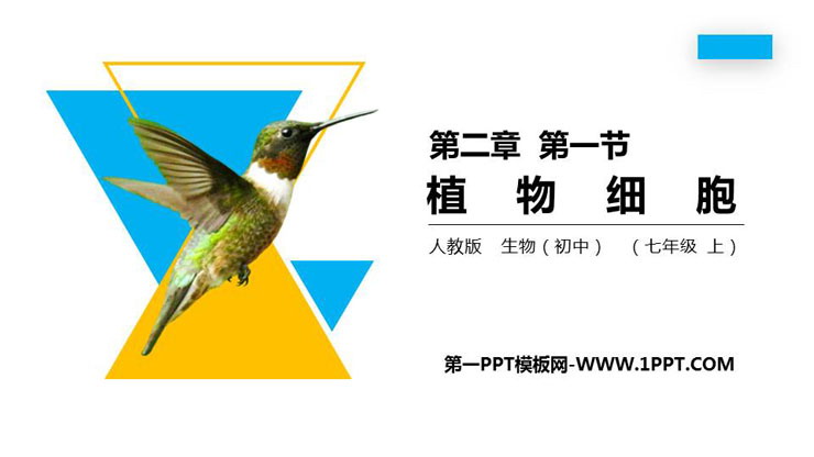 《植物细胞》PPT精品课件