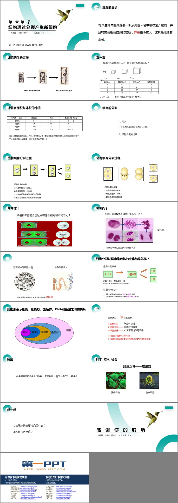 《细胞通过分裂产生新细胞》PPT精品课件