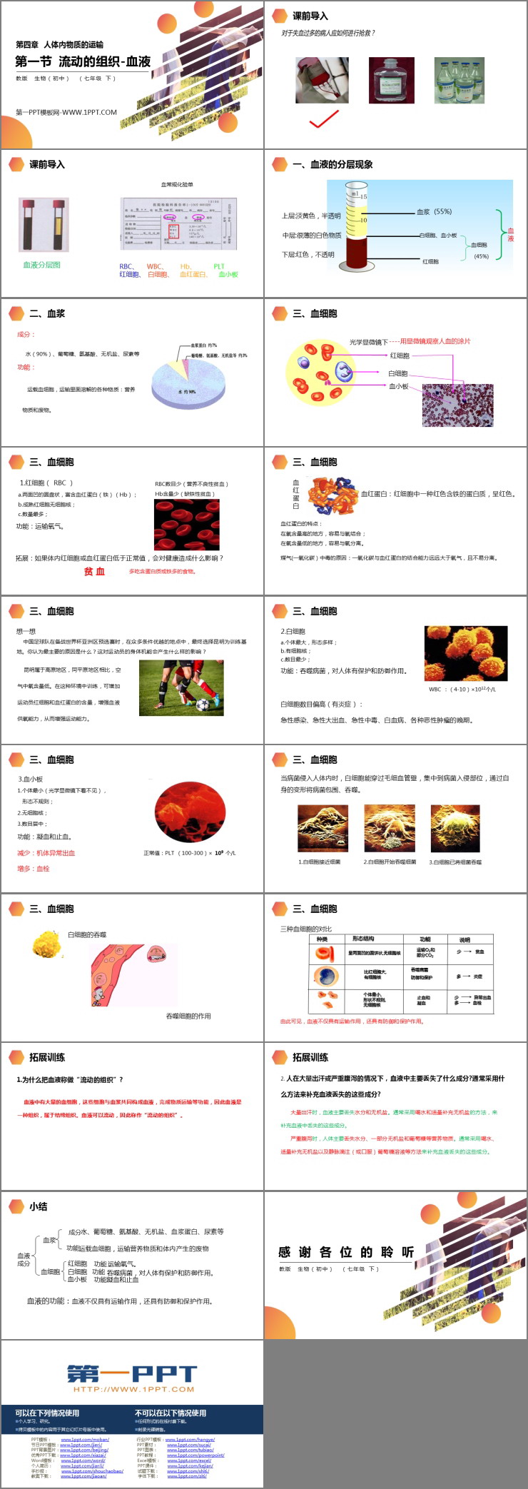《流动的组织-血液》PPT精品课件