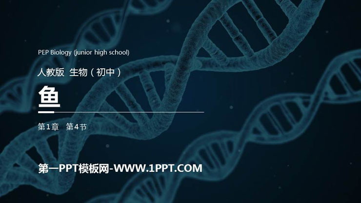 《鱼》PPT精品课件