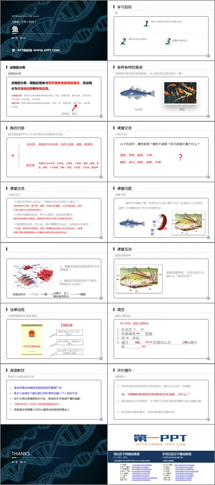 《鱼》PPT精品课件