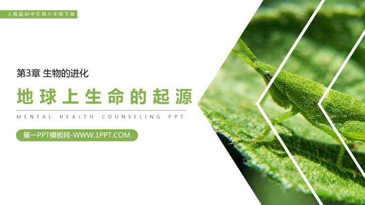 《地球上生命的起源》PPT精品课件