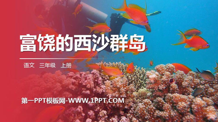 《富饶的西沙群岛》PPT精品课件