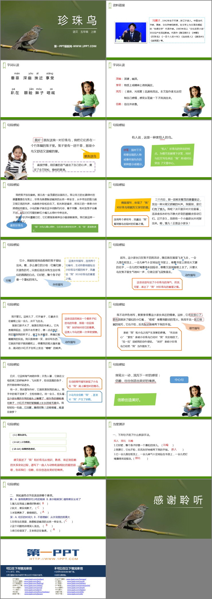 《珍珠鸟》PPT免费课件下载