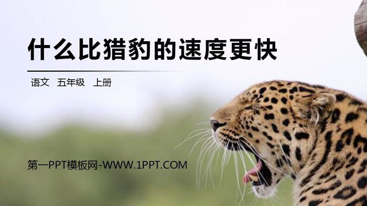 《什么比猎豹的速度更快》PPT精品课件