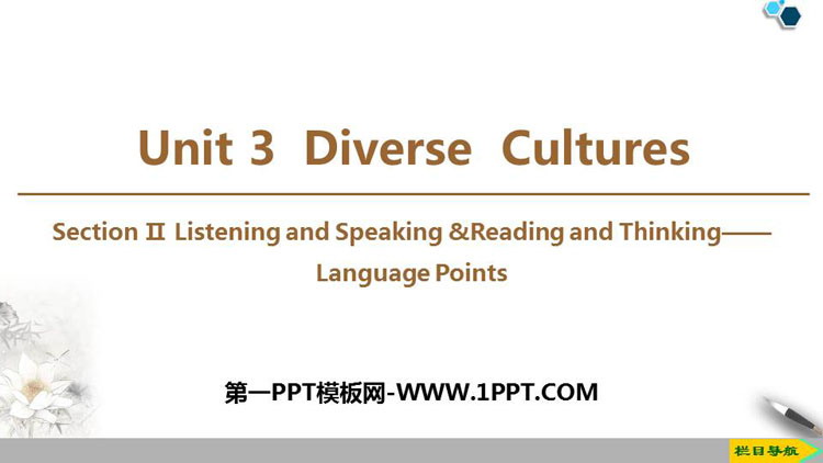 《Diverse Cultures》SectionⅡ PPT课件下载