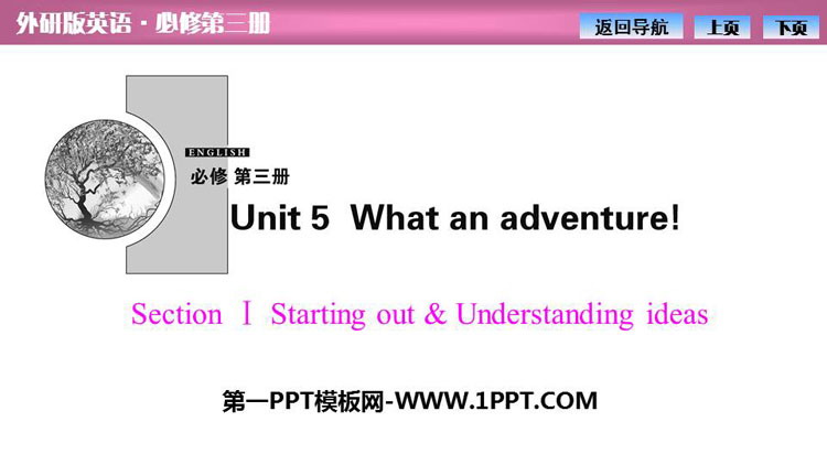 《What an adventure!》SectionⅠ PPT课件