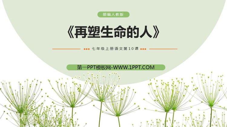 《再塑生命的人》PPT精品课件