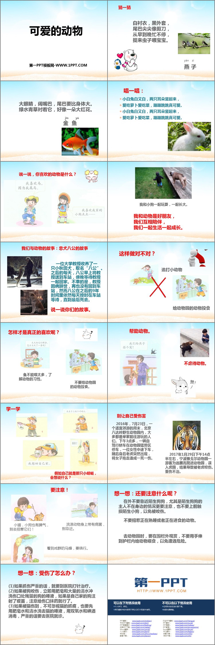 《可爱的动物》PPT下载