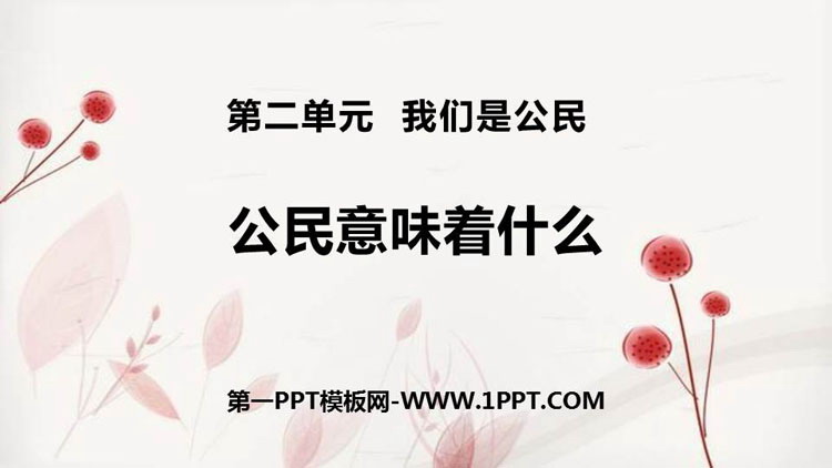 《公民意味着什么》PPT课件