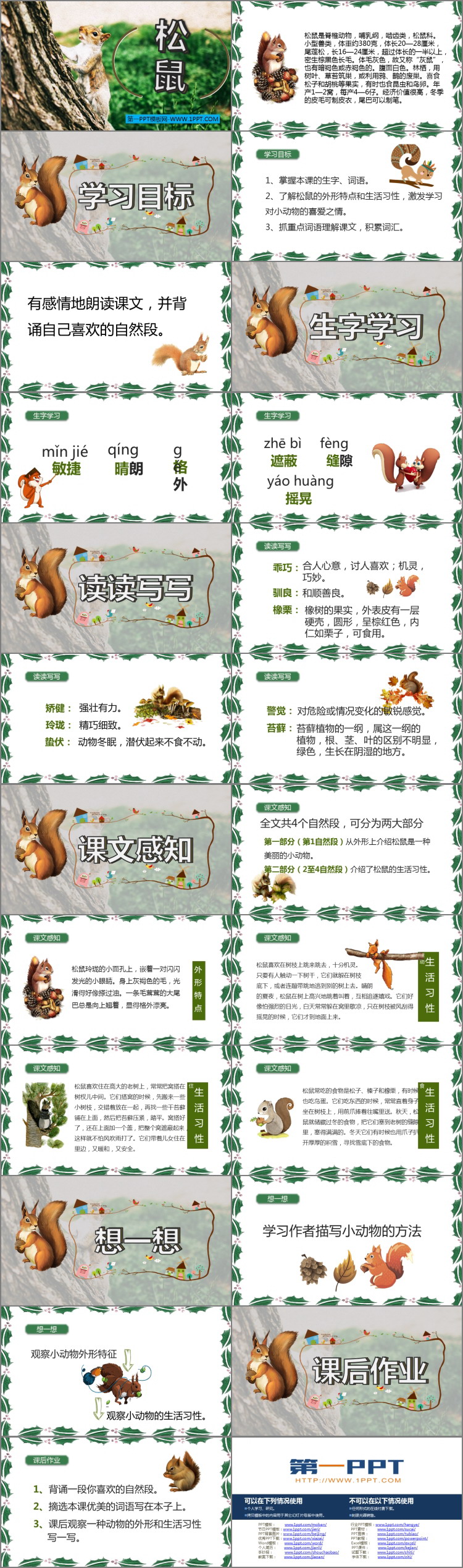 《松鼠》PPT优质课件下载