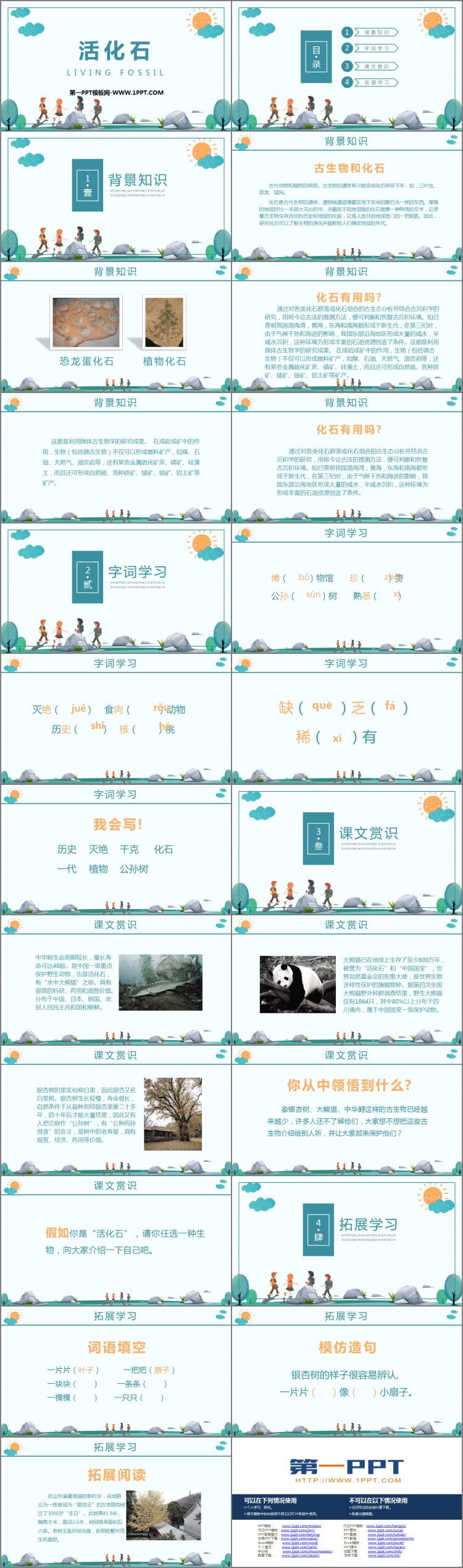 《活化石》PPT教学课件