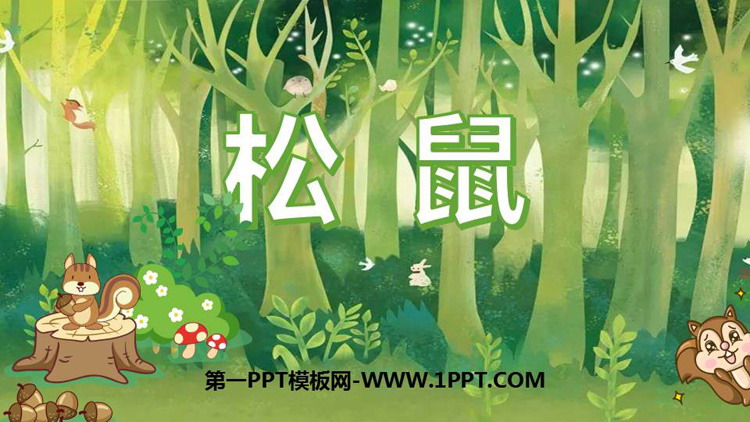 《松鼠》PPT优质课件免费下载