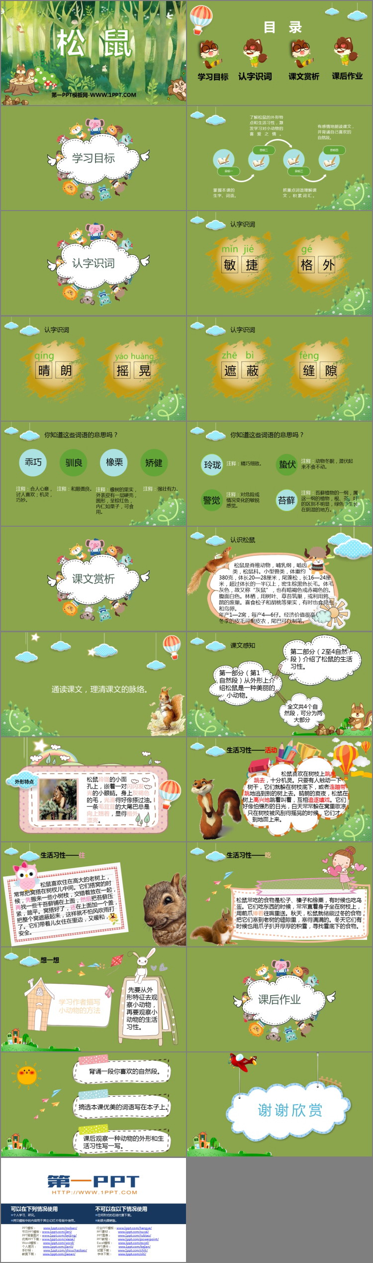 《松鼠》PPT优质课件免费下载