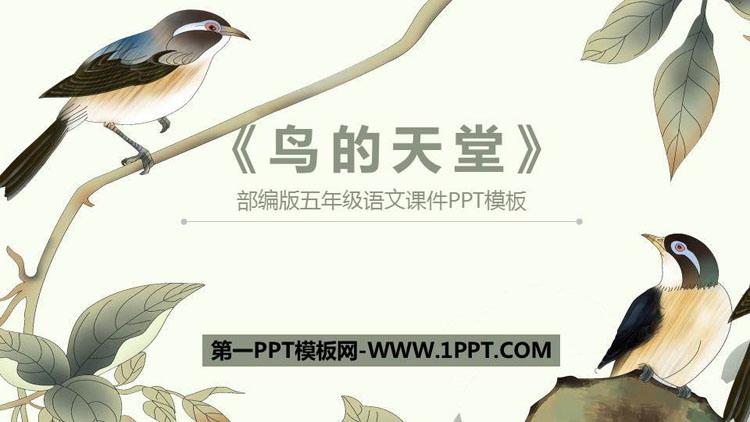 《鸟的天堂》PPT优秀课件下载