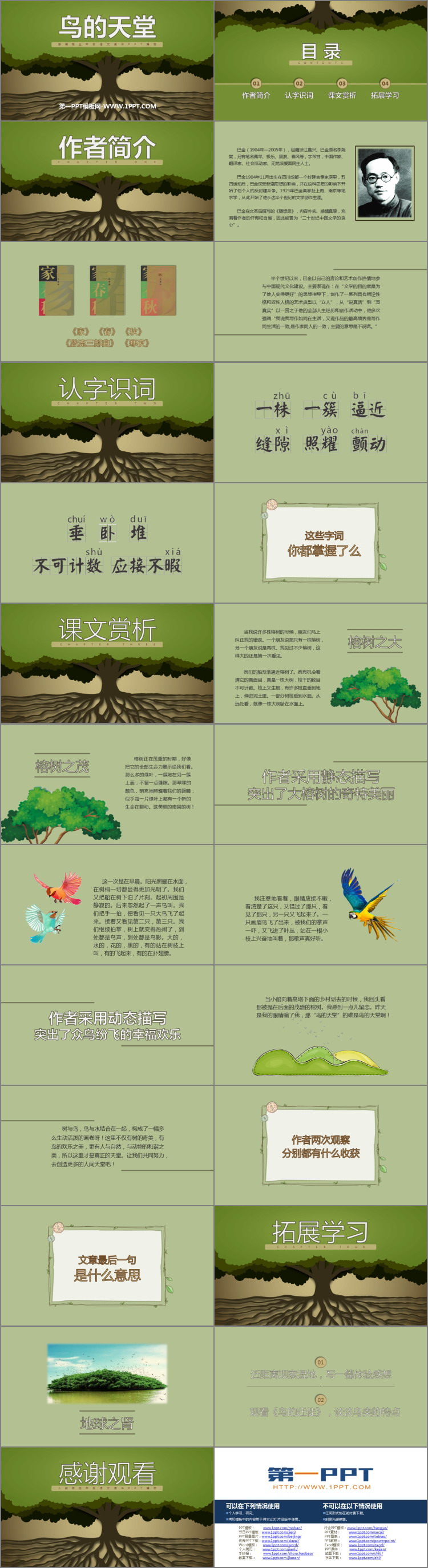 《鸟的天堂》PPT优质课件下载