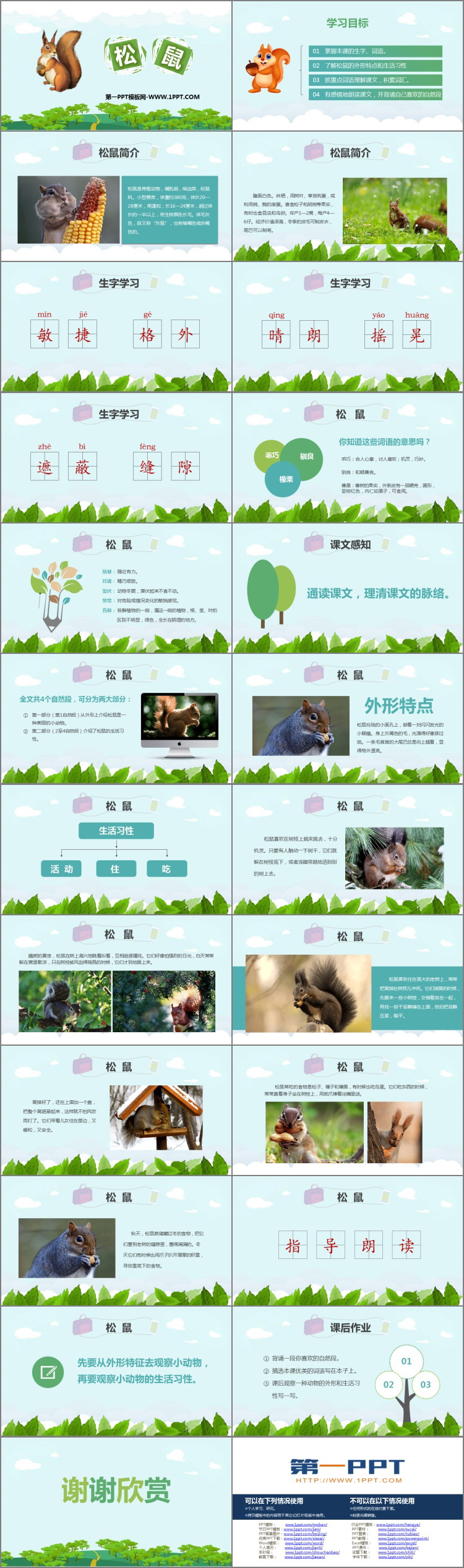 《松鼠》PPT课文课件