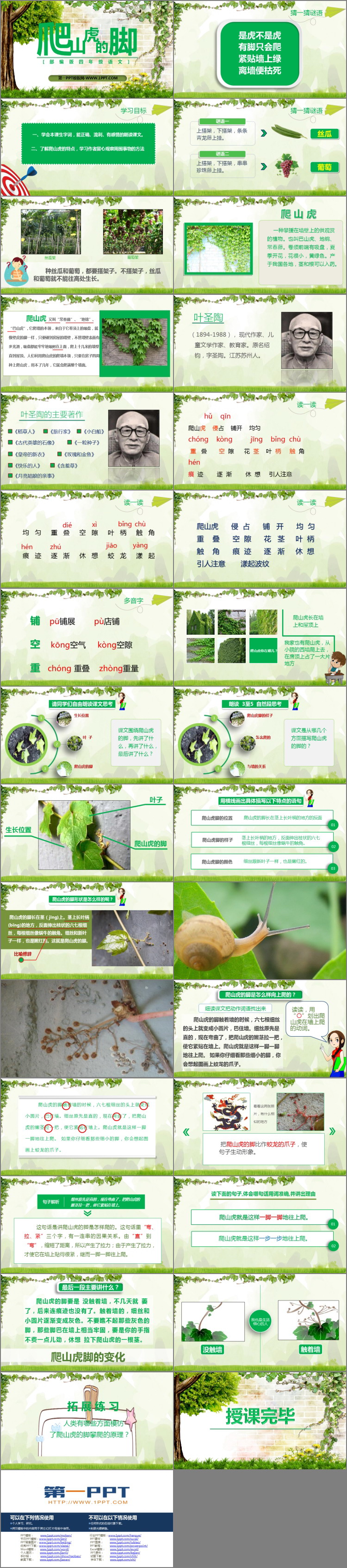 《爬山虎的脚》PPT课文课件