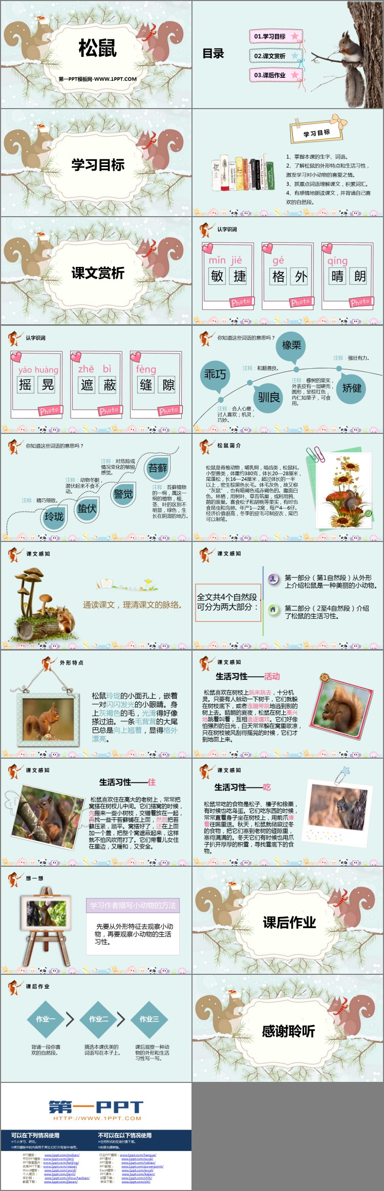 《松鼠》PPT免费课文课件