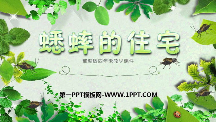 《蟋蟀的住宅》PPT精品课件下载