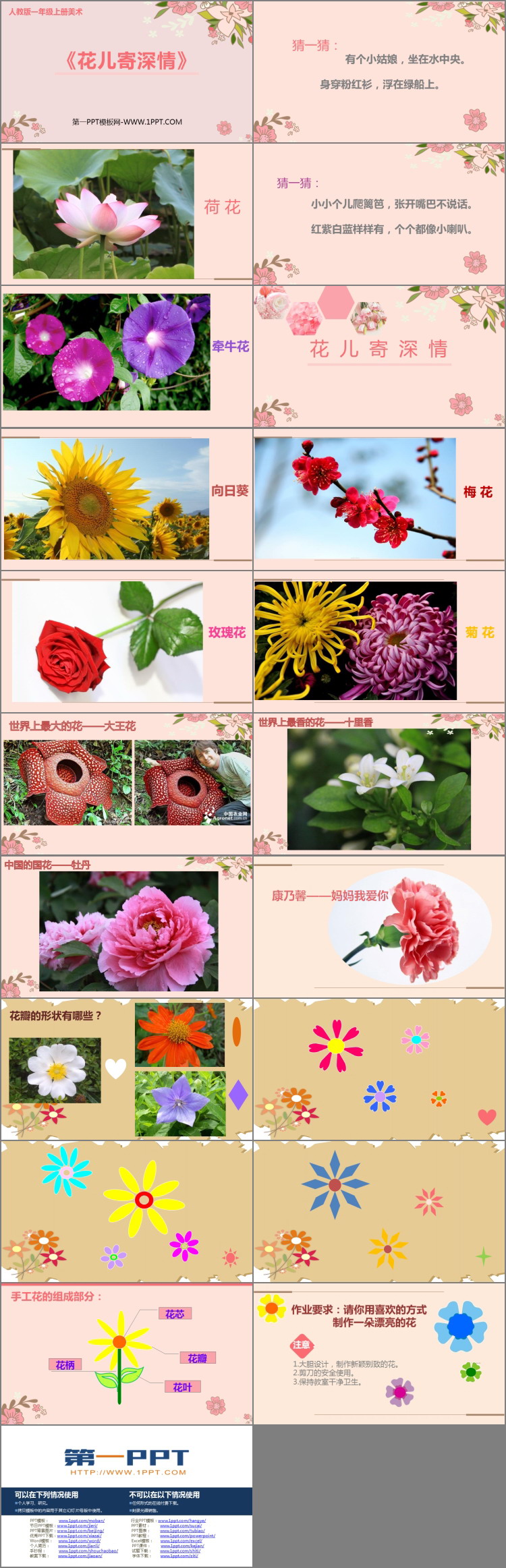《花儿寄深情》PPT课件