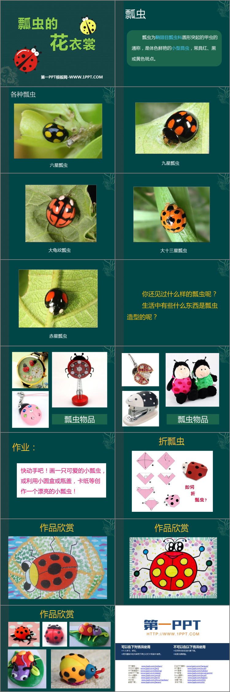 《瓢虫的花衣裳》PPT免费课件