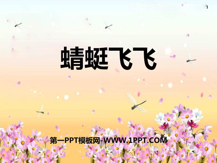 《蜻蜓飞飞》PPT免费课件
