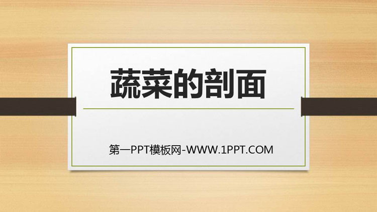 《蔬菜的剖面》PPT教学课件