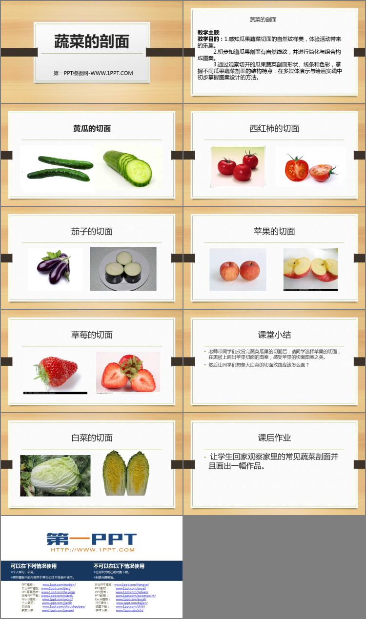 《蔬菜的剖面》PPT教学课件