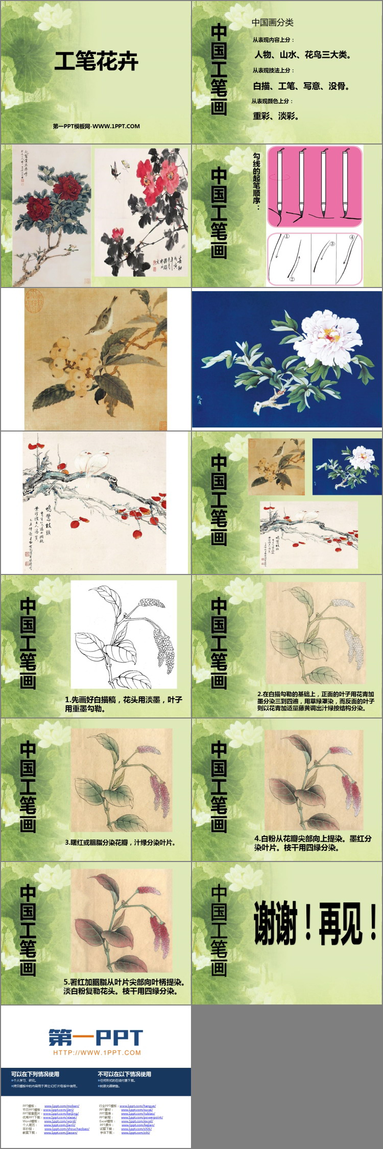 《工笔花卉》PPT免费课件