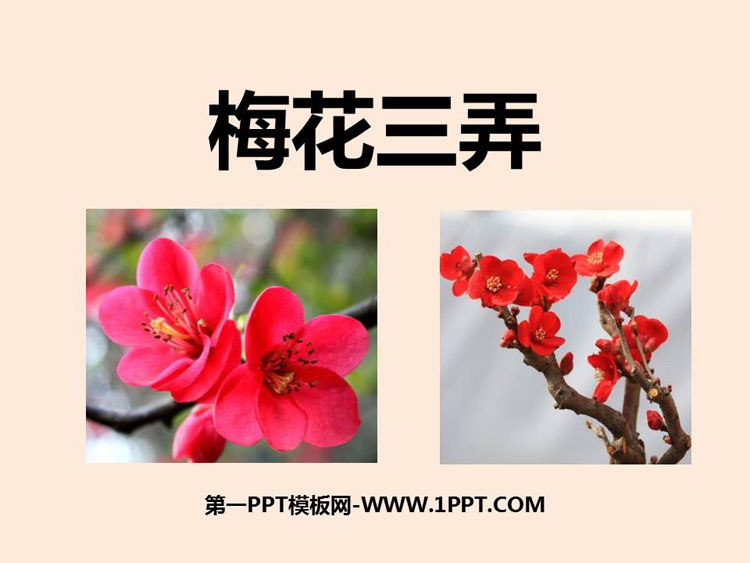 《梅花三弄》PPT课件下载