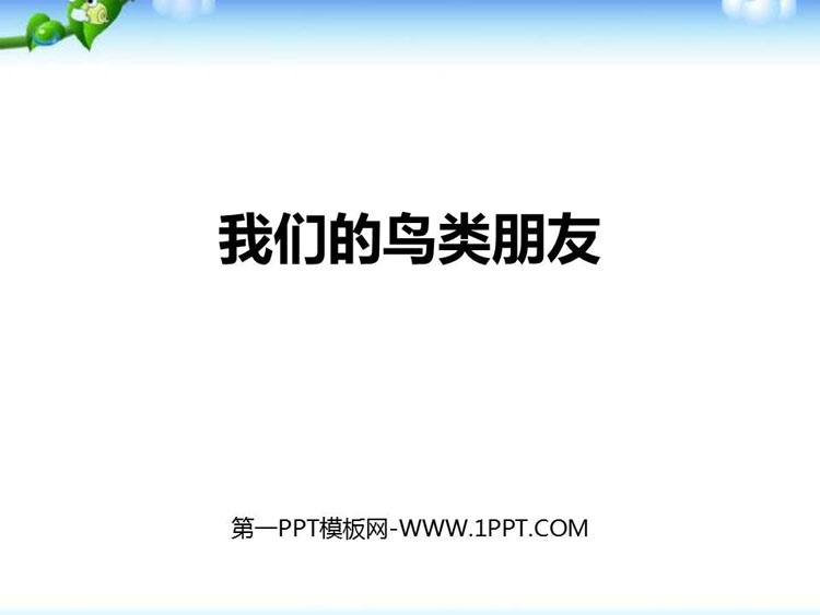 《我们的鸟类朋友》PPT课件