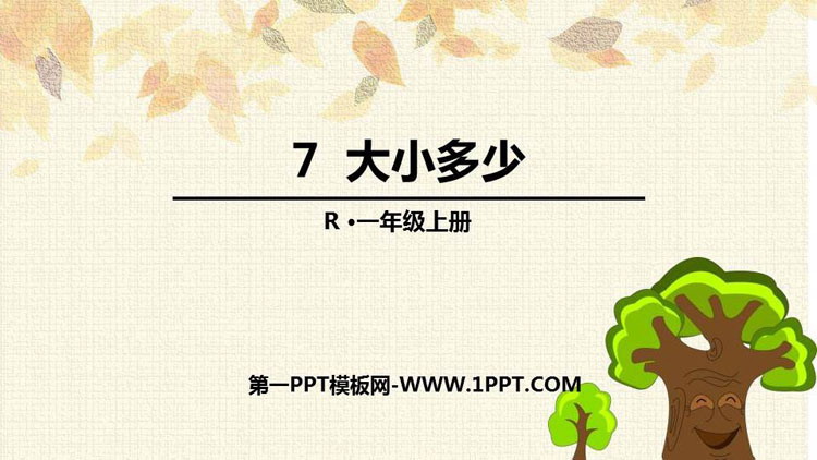 《大小多少》PPT优质课件