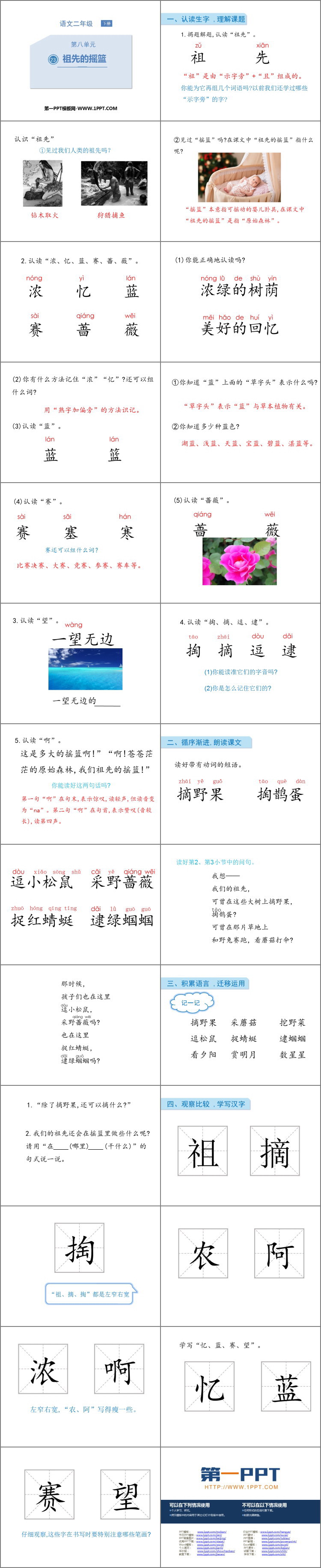 《祖先的摇篮》PPT免费教学课件