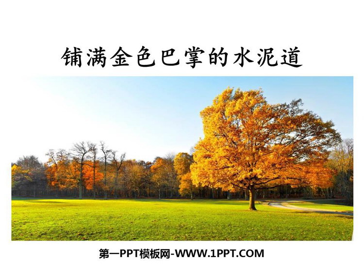 《铺满金色巴掌的水泥道》PPT优质课件